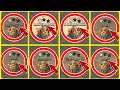 *UPDATED* TOWN HALL 16 Th16 WAR BASE With Link | TH16 LEGEND Base With Link | Clash of clans