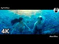 Deniz Kızına Aşık Oldu Mutlu Son.. Muhteşem Klip 2020 - SLower Brindar & Erdem KapLan - Son Dileğim