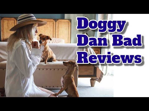 Doggy Dan Bad Review - How Good is the Program Really?