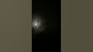 اللهم صل وسلم على محمد وعلى آل محمد | 🖤| ماهر المعيقلي ، سورة الأحزاب .