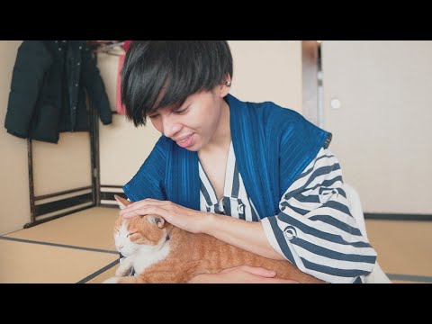 旅先で猫に癒されました。