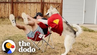 When Teaching Your 85Pound Dog To Give Hugs Goes Wrong | The Dodo