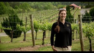 A Wine Lover’s Weekend Escape Near Asheville