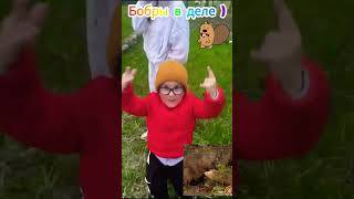 В Буздяке под Уфой на озере. Бобры разошлись не на шутку )