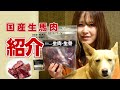 【愛犬用ごはん】国産生馬肉ご紹介【帝塚山ハウンドカム】