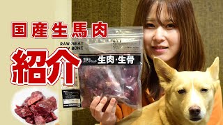 【愛犬用ごはん】国産生馬肉ご紹介【帝塚山ハウンドカム】