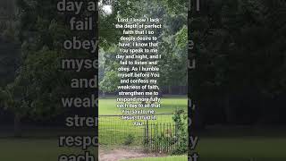 meditation of the day catholic jesus prayer video faith hope love youtubeshorts rain