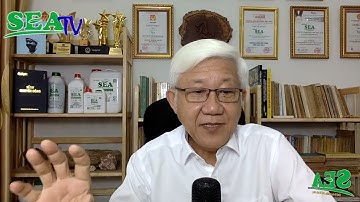 [Trò chuyện cùng SEA #214] Chuyện lúc Trà dư tửu hậu #66 - Can SEA 700.000 đ có mắc không?