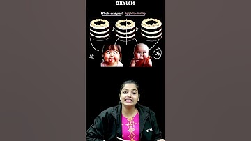 ഒരു Important ചോദ്യം പഠിക്കാം | Xylem Class 5