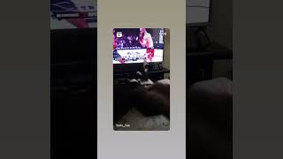 Lili &amp; Didi &amp; UFC.