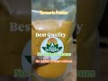 Best Quality Turmeric Powder contact  7396850707