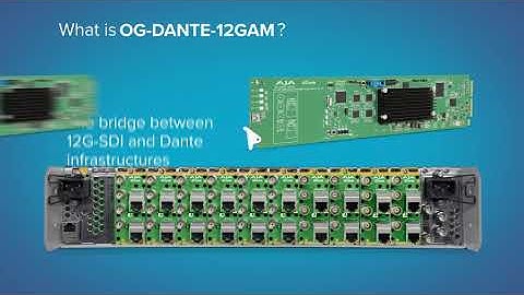 OG-DANTE-12GAM openGear Card
