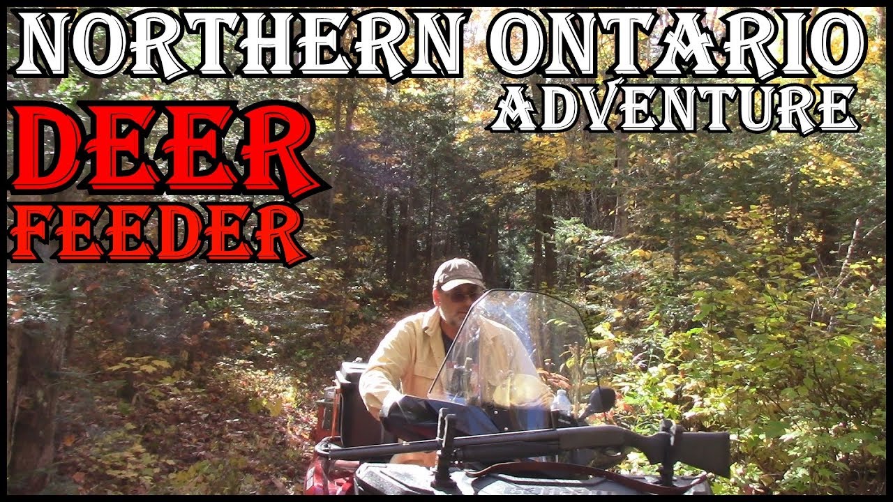 Deer Feeder Homemade At My Northern Camp - How To Water Seal Wood - YouTube
