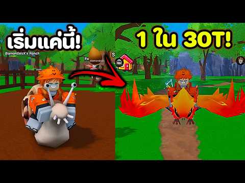 Started with a snail… ended with a 1 in 30T Phoenix! | Ride A Pet