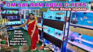 Om Sai Ram Aqua & Pets Aquarium Fish Shop Turtles ,Crabs,Dolphin fish,8Banded Leporinus,Cats & Dogs