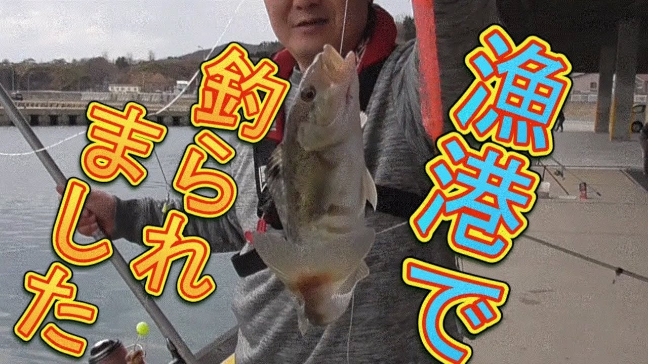 ホッケ釣り 漁港でホッケ釣りと山菜採り Youtube ホッケ釣り 漁港でホッケ釣りと山菜採り Youtube