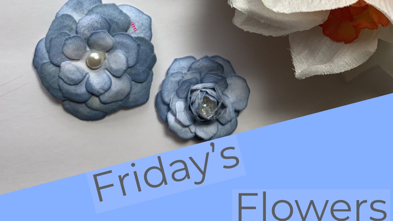 Friday’s Flowers | 