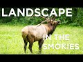 A Landscape Photography Trip to Great Smoky Mountain National Park in the Dodge Van Build. Join Me!