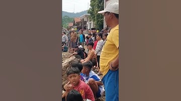 Viral Masyarakat Situ Ciburuy 2 Padalarang Bandung Barat Menonton dari Dekat Beko Yg Terperosok#kdm
