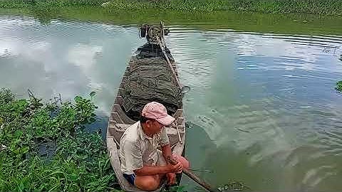 Nghề Đặt 12 Cửa Ngục trên Sông Nước Miền Tây | Dính Cũng Kha Khá | Đủ Bửa Cơm Quê