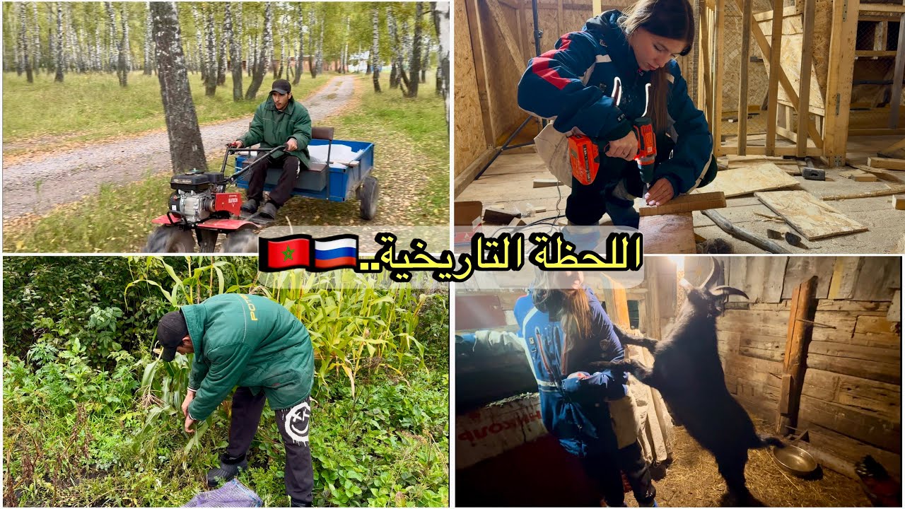 شوفو شنو شرينا من المدينة🏡الحظيرة قربات تكمل و المشروع قرب إبدا🇲🇦🇷🇺