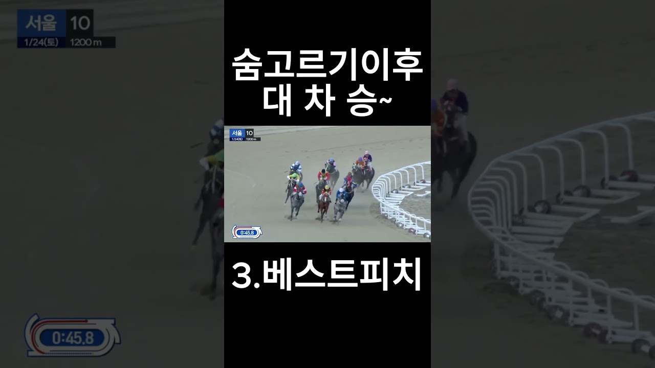 숨고르기이후 대 차 승~  #경마  #경마예상  #경마방송  #경마예상방송  #서울경마  #금요경마  #토요경마  #일요경마 #경마장