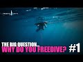 Why i freedive 1 