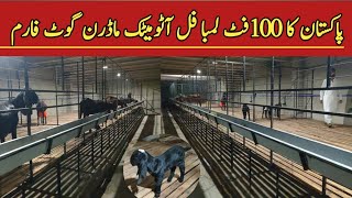 Biggest European Standard Goat Farm in Pakistan || Modern Goat Farm in Pakistan || By Asim Faiz