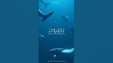 وَذَا النُّونِ إِذ ذَّهَبَ مُغَاضِبًا - تلاوة هادئه - القارئ: وديع اليمني.