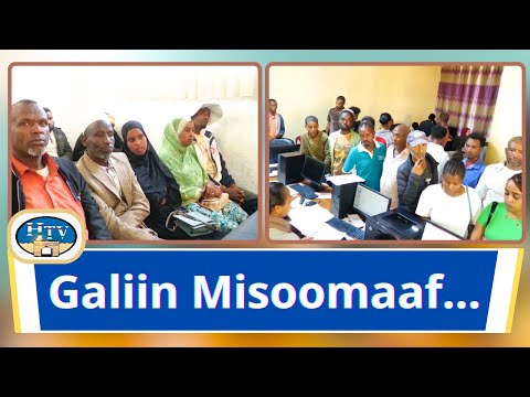 Labsiiwwan Kaffaltii Gibiraa Fi Sosochii Gibira Yeroon Kafaluu