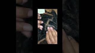 How I retwist my Locs