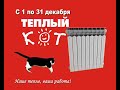 Тёплый кот (смешная реклама)