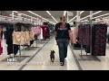 Boston Terrier “Wiz” | Fantastic Obedience | Dog Trainer Fresno Boston Terrier “Wiz” | Fantastic Obedience | Dog Trainer Fresno
