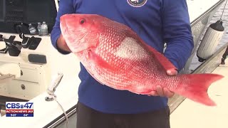 ‘It’s our resource’: Florida’s East Coast could see longest Red Snapper season since 2009 in 2026