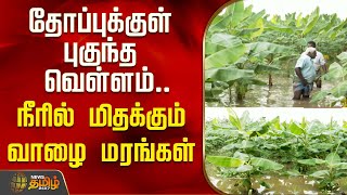 தபபககள பகநத வளளம.. நரல மதககம வழ மரஙகள Thoothukudi Rain Agri Land