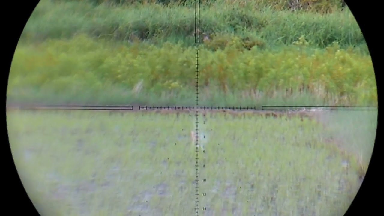 Tes Perkenaan mimis slug Thor 12gr