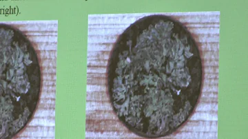 K čemu se používá biomasa v daném roce?