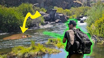 How to Find Trout in a River - Trout Fishing Basics