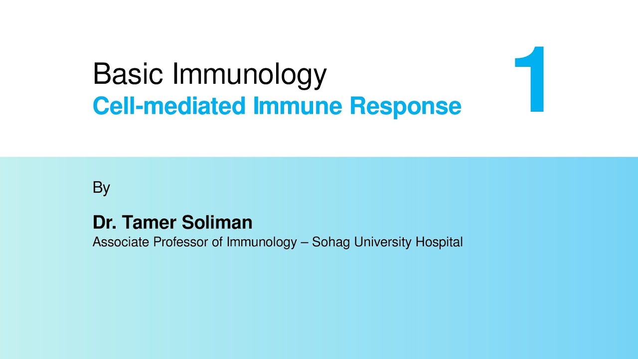 Basic Immunology - Cell-mediated Immune Response Part 1 - YouTube