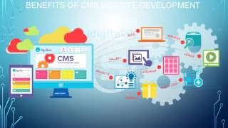 CMS Website Development Company