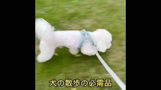 犬用ハ-ネス·リードセット、ペットの安全を守る、丈夫なマジックテーフ脱走防止、着脱便利、サイズ調整