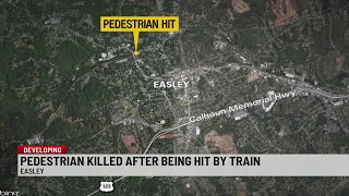 Pedestrian hit, killed by train in Easley