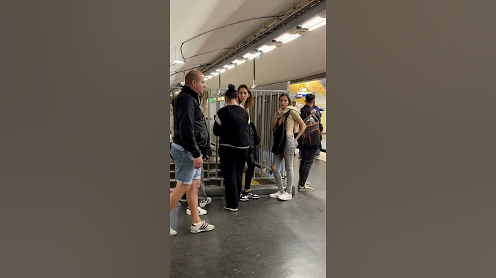 Pickpockets (Carteristas) from Bosnia in Paris metro