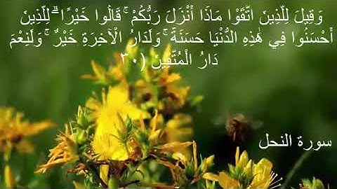 سورة النحل (فارس عباد) مع كتابه الايات جوده عاليه