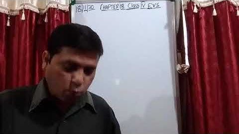 Class IV EVS 18-11-2020 BY Mr. Rupesh