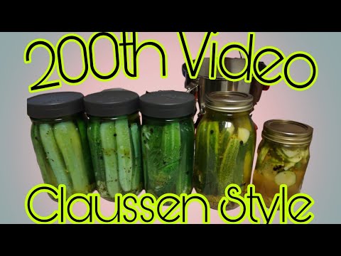 Best Claussen style Fresh Pack pickles