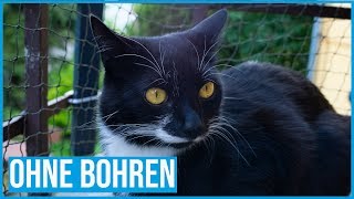 Balkon (un)professionell katzensicher machen | Ohne Bohren