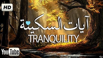 آيات السكينة من 💚القرآن الكريم 💚تلاوة هادئة تريح الاعصاب القران صوت جميل جدا - للقارئ محمد هشام HD