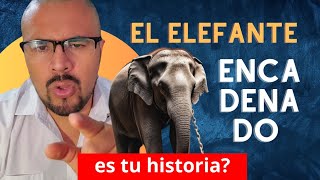 El Elefante Encadenado. es tu historia?