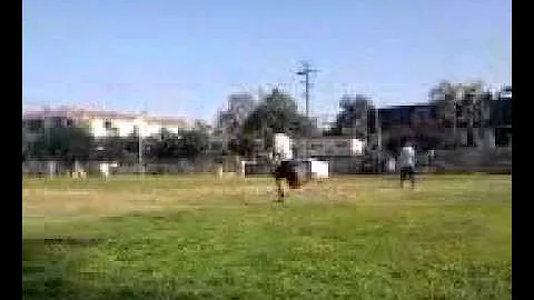 Awesome Catch